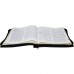 Biblia Sagrada com Harpa Cristã - ARC - Letra Gigante e Índice - com Zíper - Preta - 7899938404430