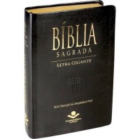 Biblia Sagrada Na Linguagem De Hoje (ntlh) Com Letra Gigante
