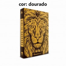 Bíblia Lettering Leao Luxo - Nvi Jesus Copy Novidade