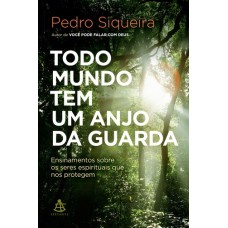 Todo Mundo Tem Um Anjo da Guarda : Ensinamentos Sobre os Seres Espirituais que nos Protegem - Pedro Siqueira - 8543104378